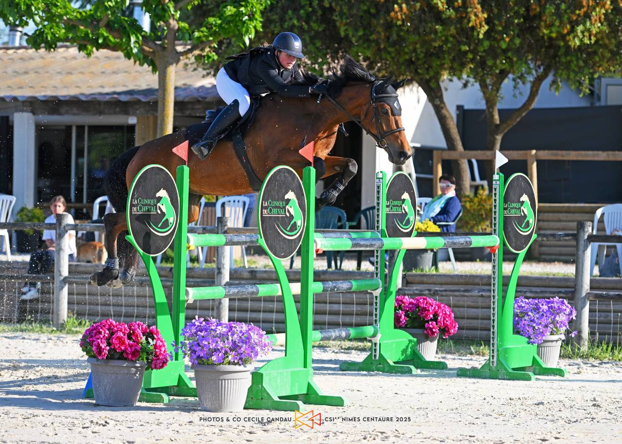 Jument 8 ans SF - 1.68m