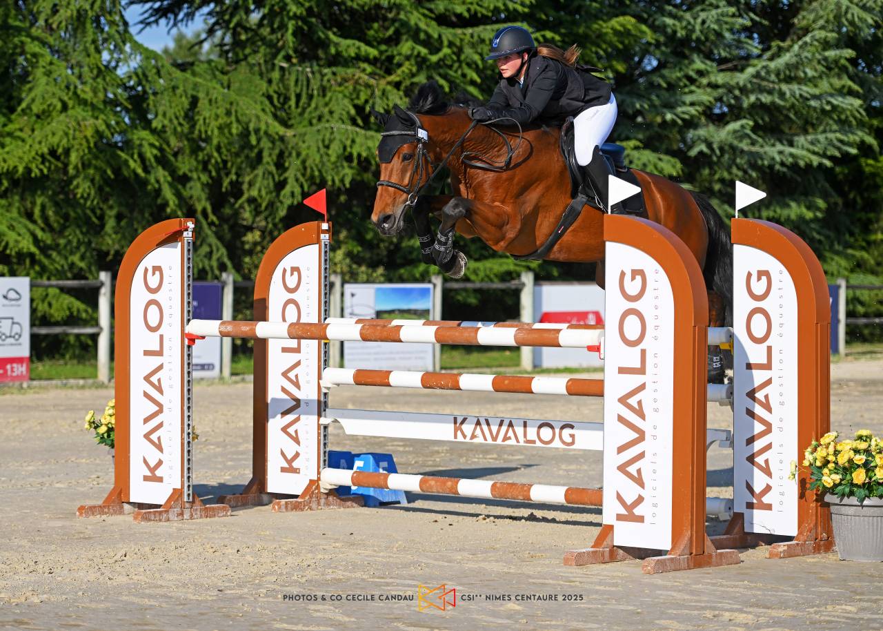 Jument 8 ans SF - 1.68m