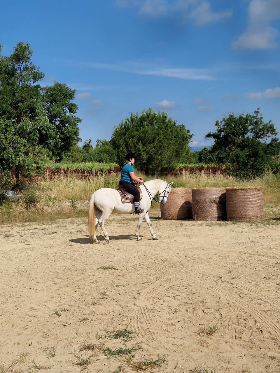 Cheval Camargue  OC  3 ans 