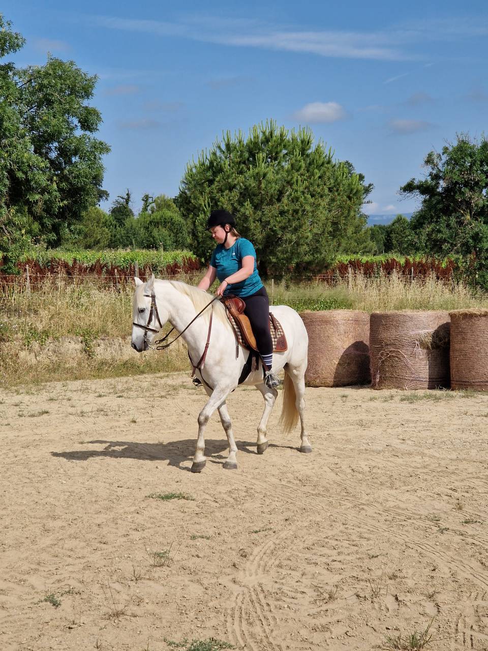 Cheval Camargue  OC  3 ans 