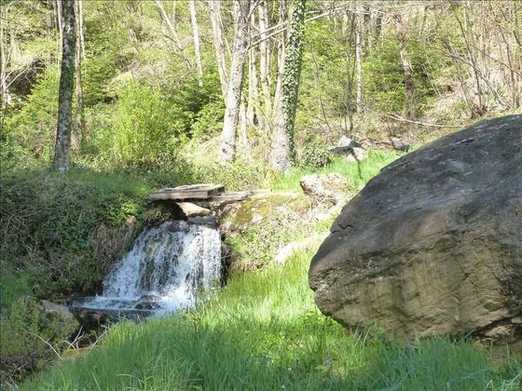 971319_1760381580_8452.jpg