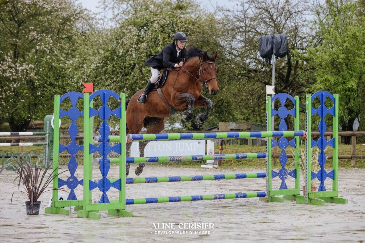 Jument CSO 10 ans beau modèle