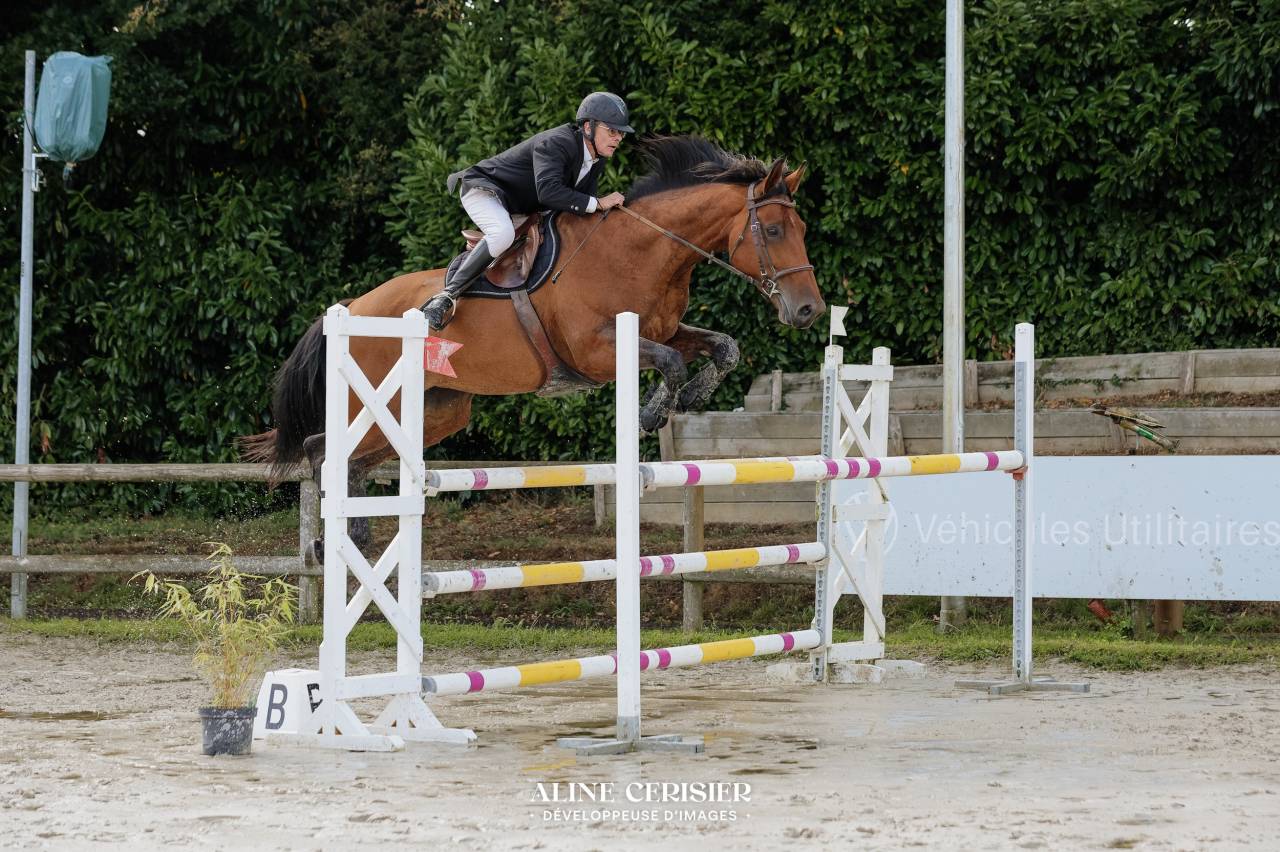 Jument CSO 10 ans beau modèle