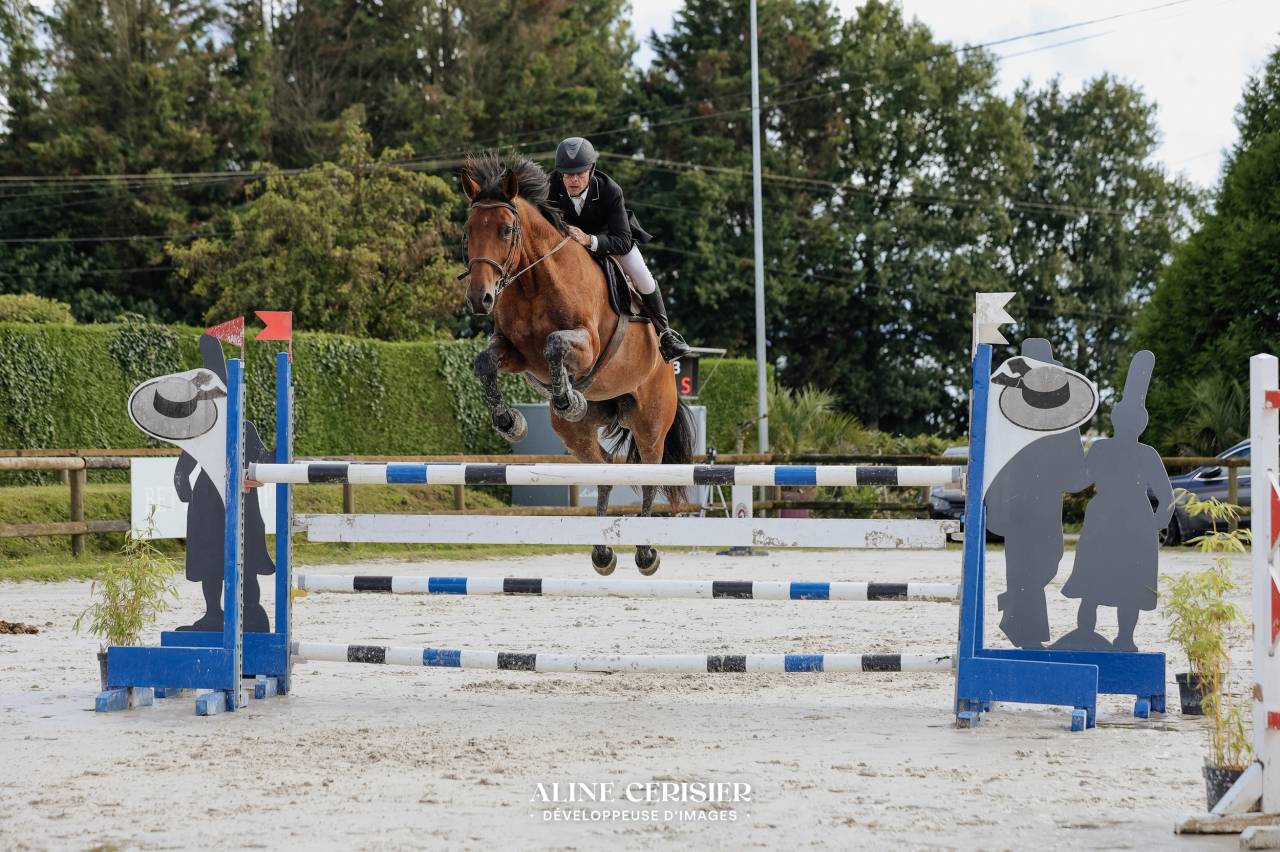 Jument CSO 10 ans beau modèle