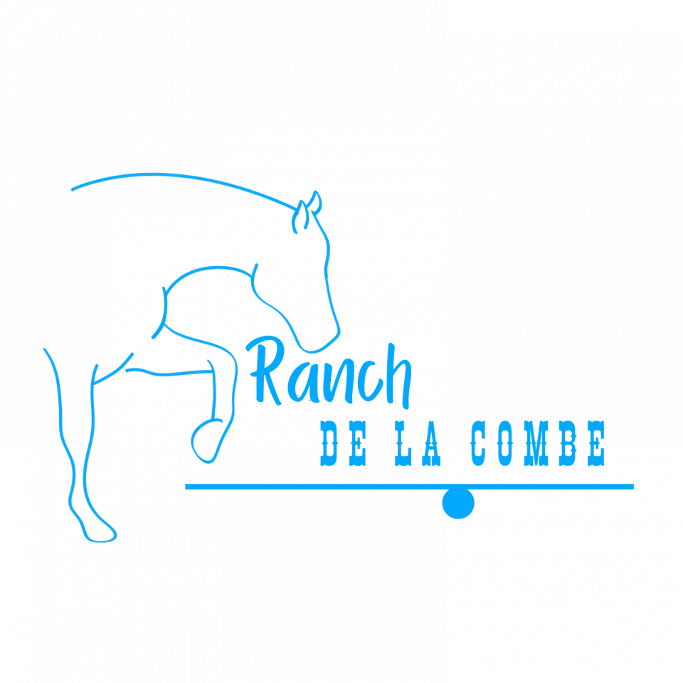 Pension troupeau pour chevaux