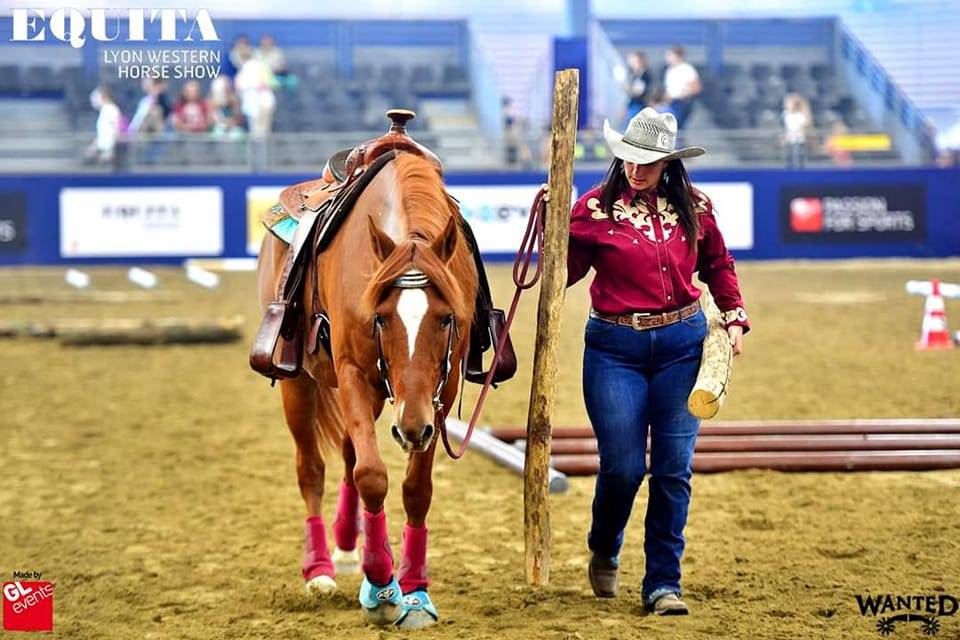 Pension troupeau pour chevaux