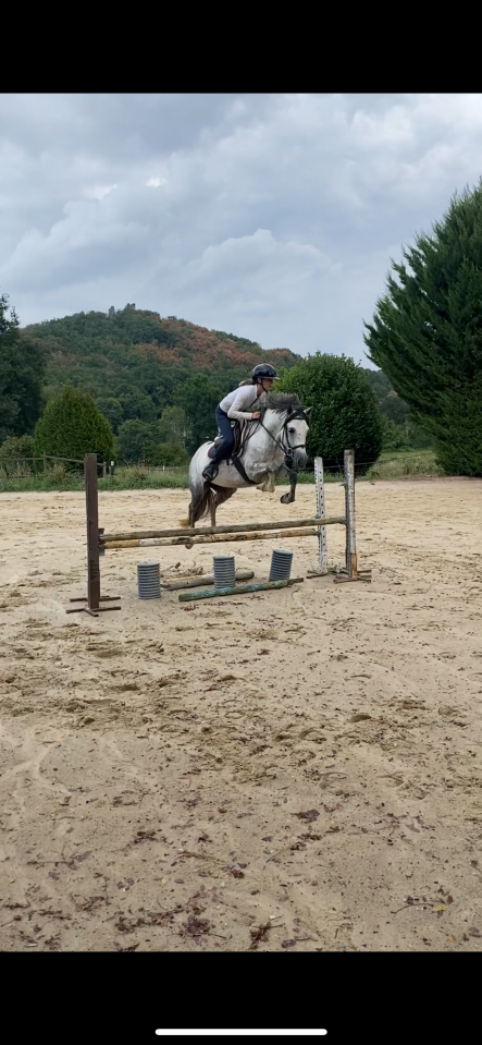 Poney à vendre 