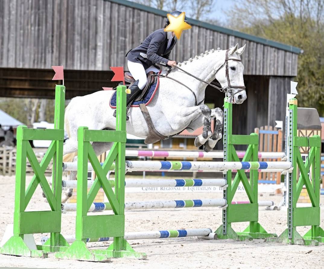 Hongre 8 ans CCE / CSO