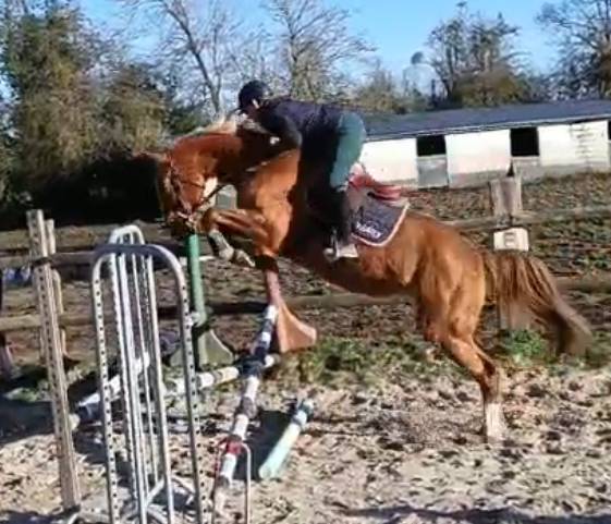 Lovstory de Theyssamy 