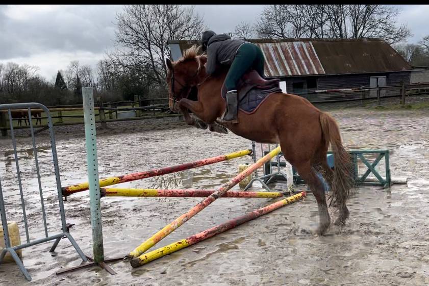 Lovstory de Theyssamy 