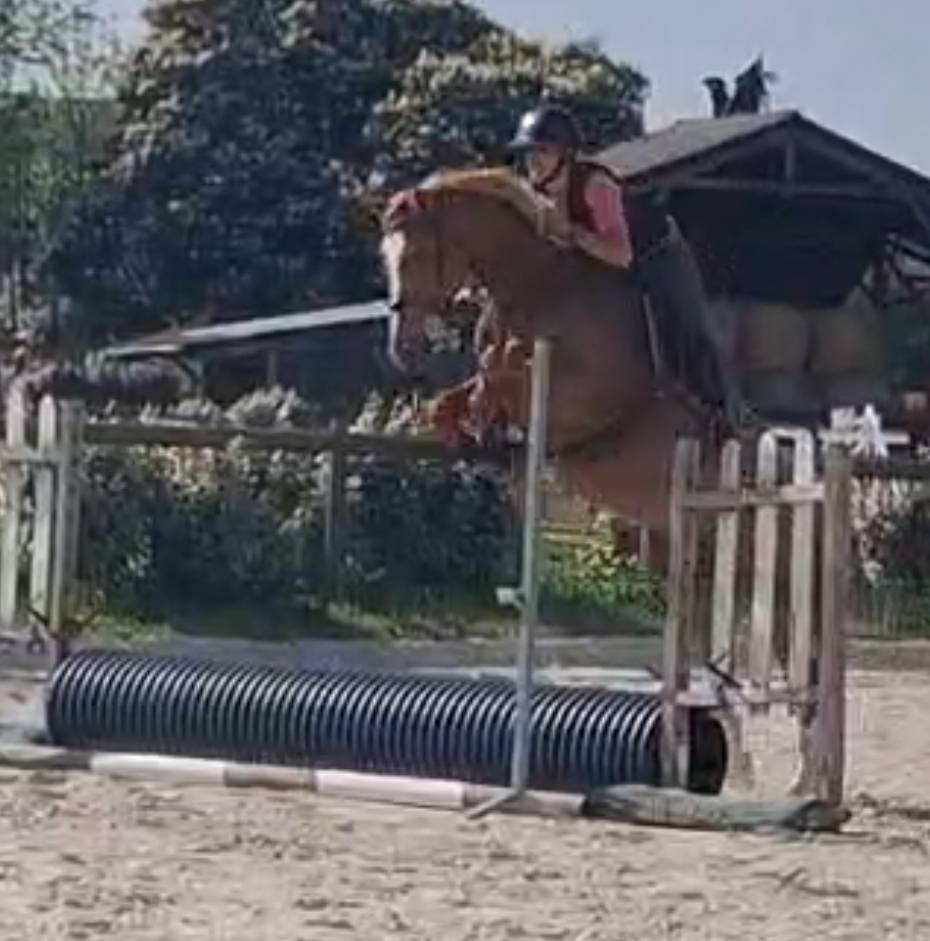 Lovstory de Theyssamy 