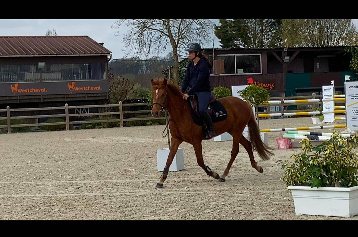 Ponette PFS Taille D 3 ans 