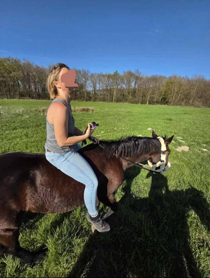 Alisja, jument très pratique !