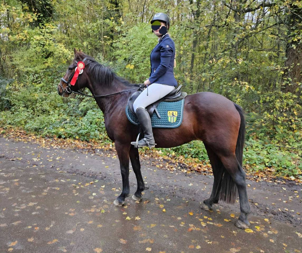 Alisja, jument très pratique !