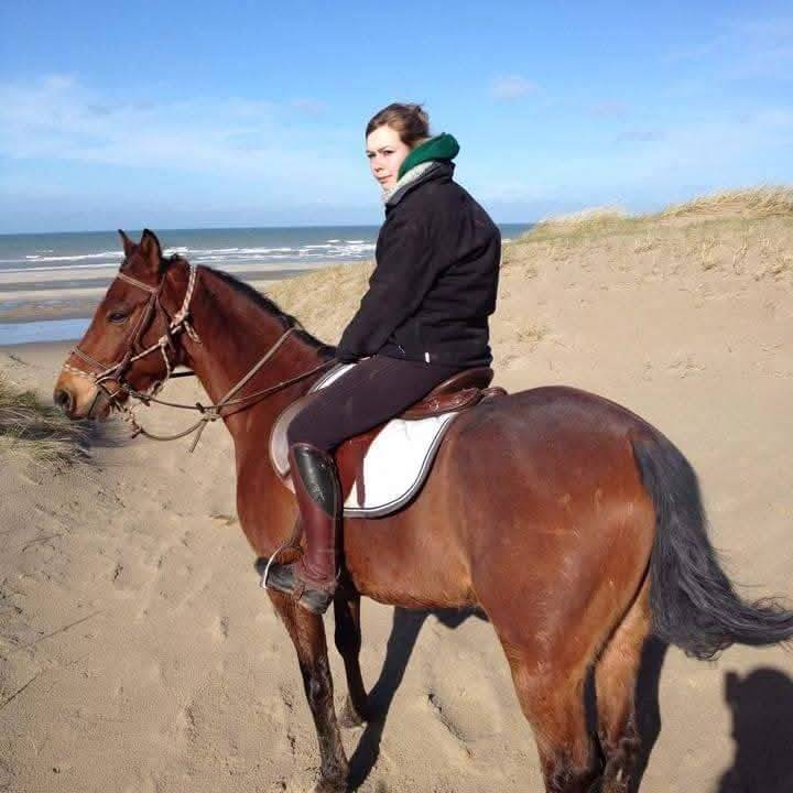 Cheval à donner contre bon soin