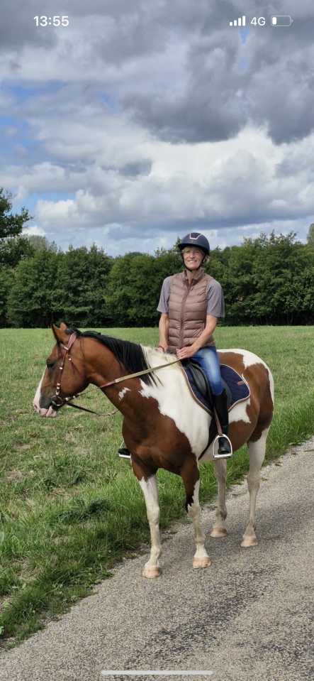 Beau et gentil Paint Horse