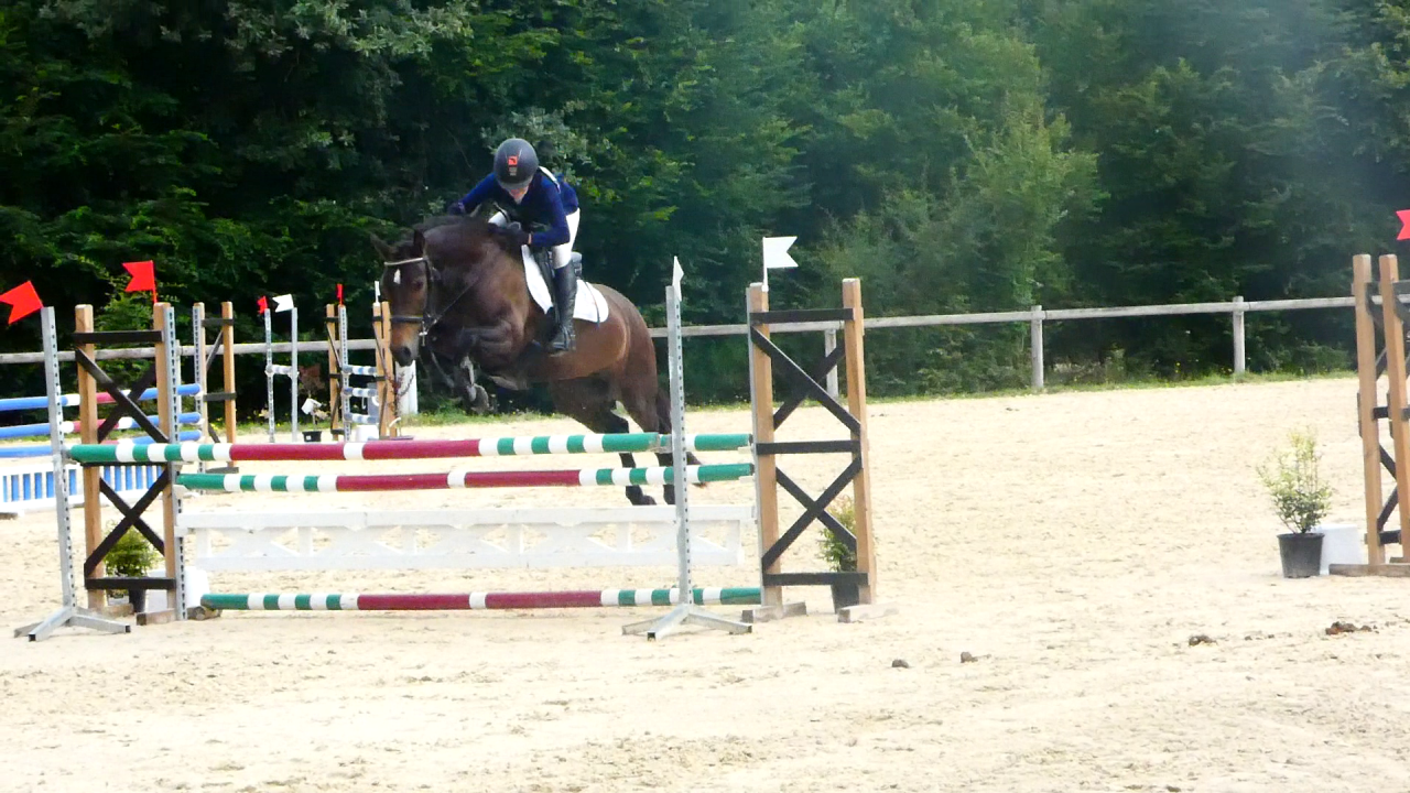 Jument Welsh K 5 ans