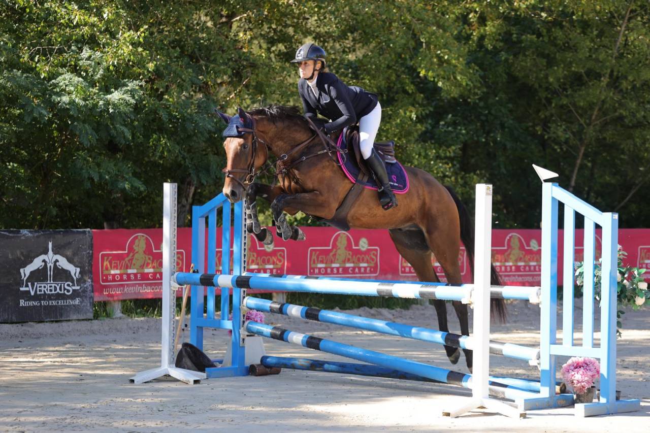 Cheval de sport - Selle Français - Hongre né en 2021