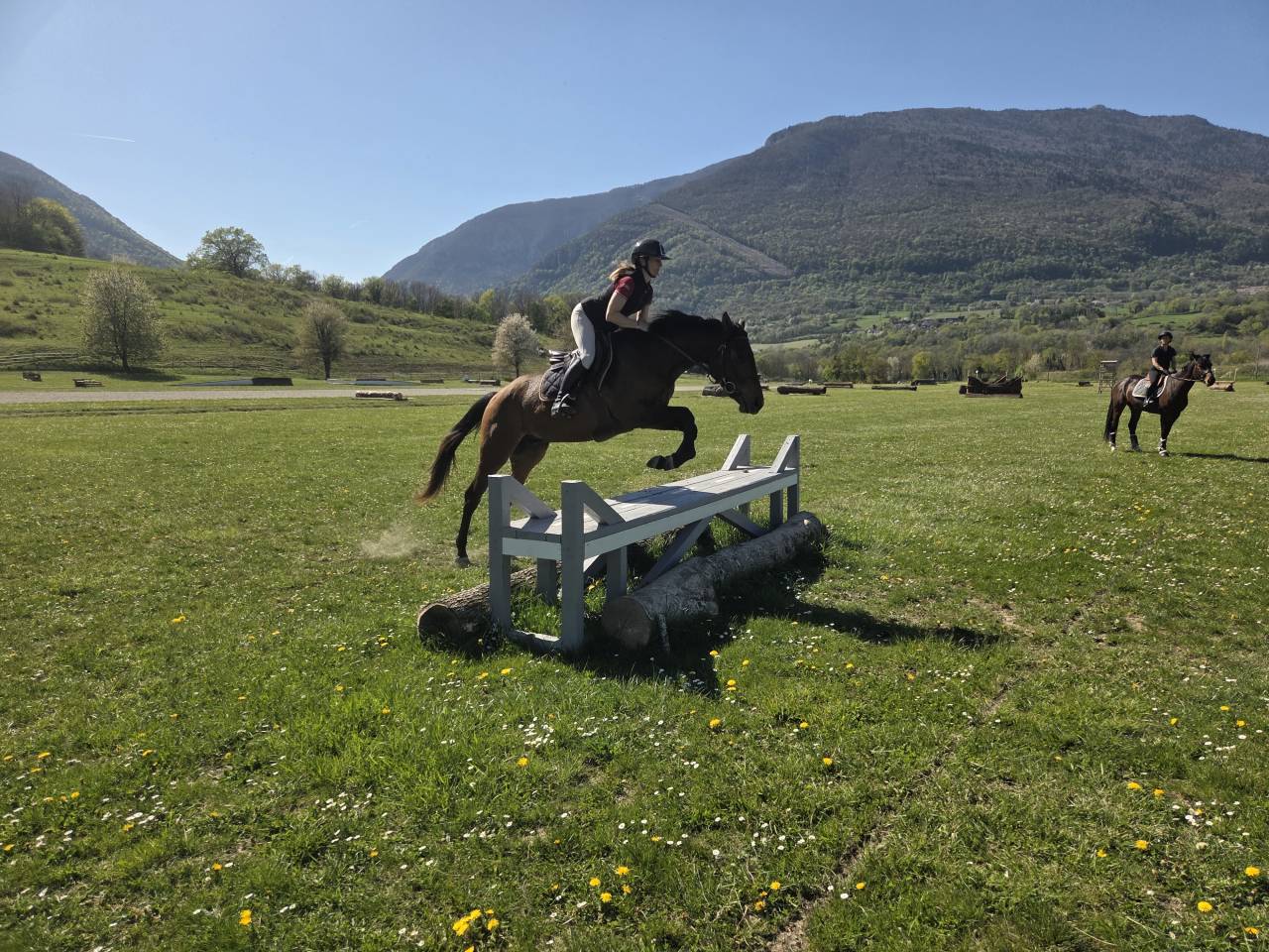 Cheval de sport - Selle Français - Hongre né en 2021