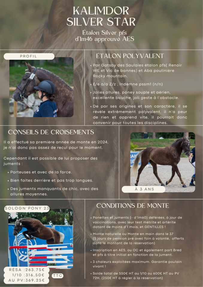 Saillie étalon poney D Silver approuvé AES