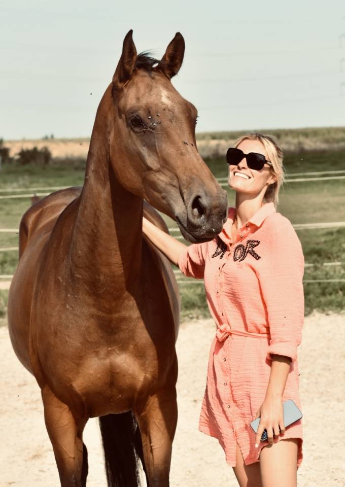 JUMENT DE 4 ANS AVEC DE LA QUALITÉ 