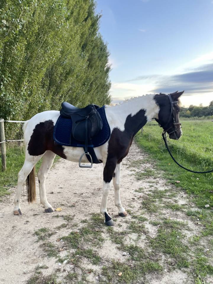 Ponette pie sport 