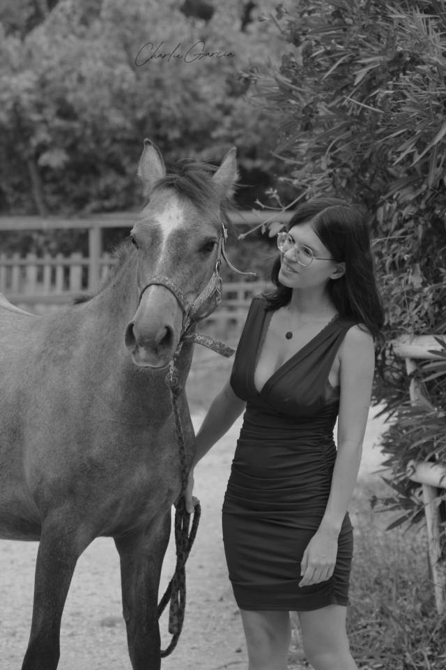 Jument d’1 an et demi, Pottok x Pur sang arabe 