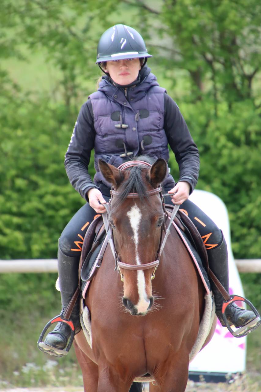 URGENT jument à vendre !!!