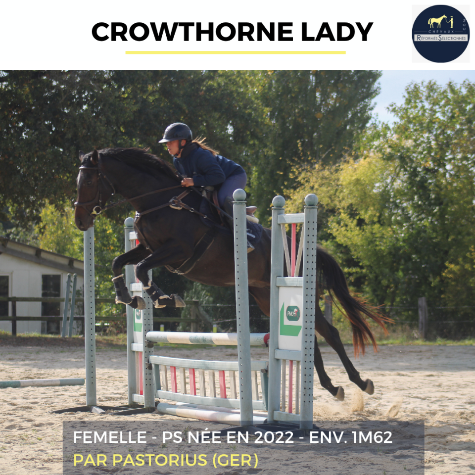 CROWTHORNE LADY - PS - 3 ANS