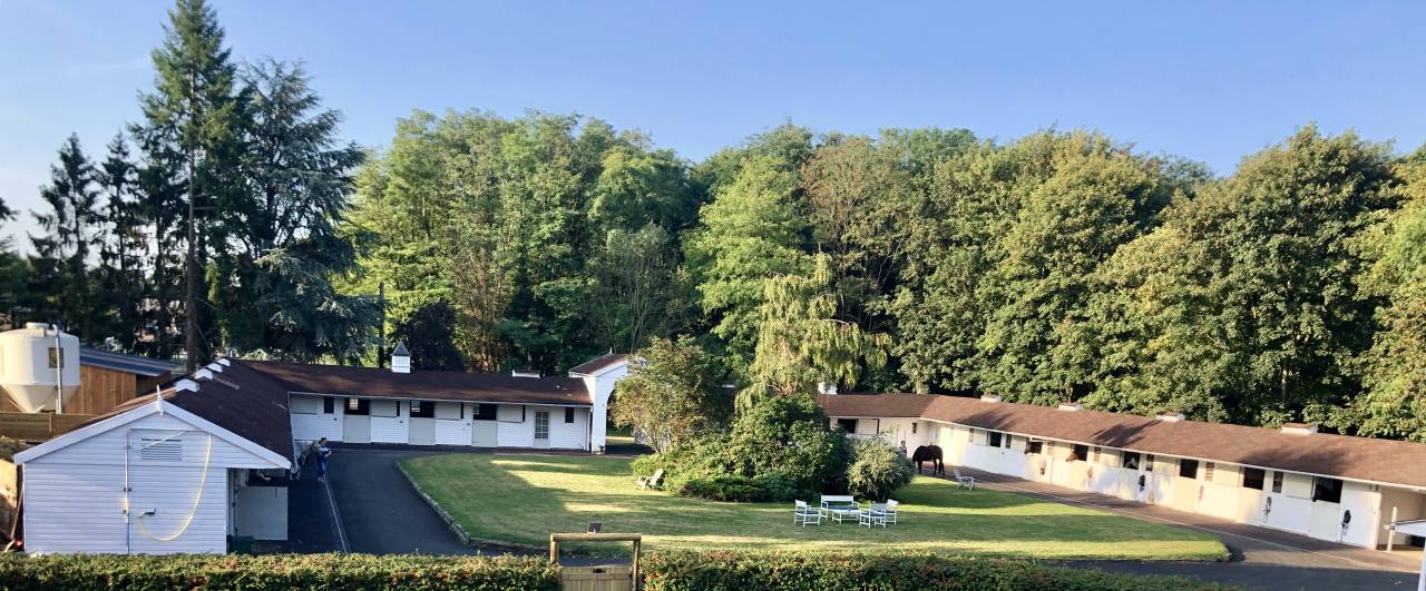 Places en pension et location boxes disponibles 