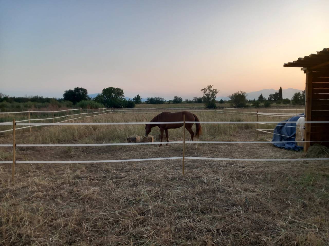 Location paddocks - 66670 Bages