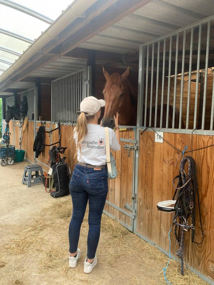 Clémence Richel - Ostéopathe équin 