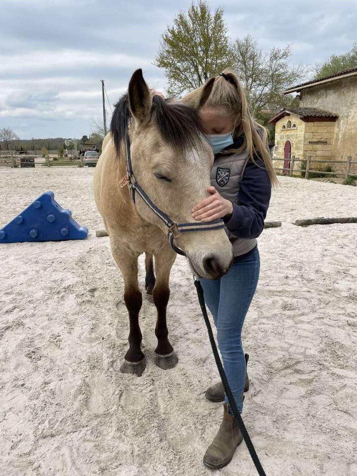 Clémence Richel - Ostéopathe équin 