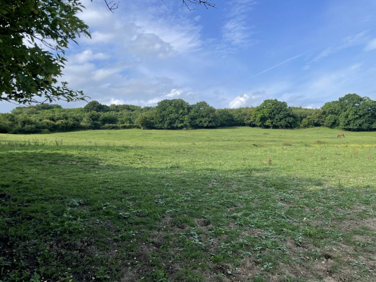 Pension retraite chevaux Calvados 10m Cabourg 