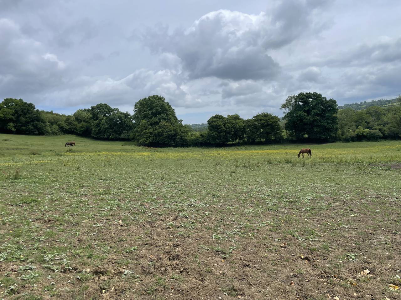 Pension retraite chevaux Calvados 10m Cabourg 