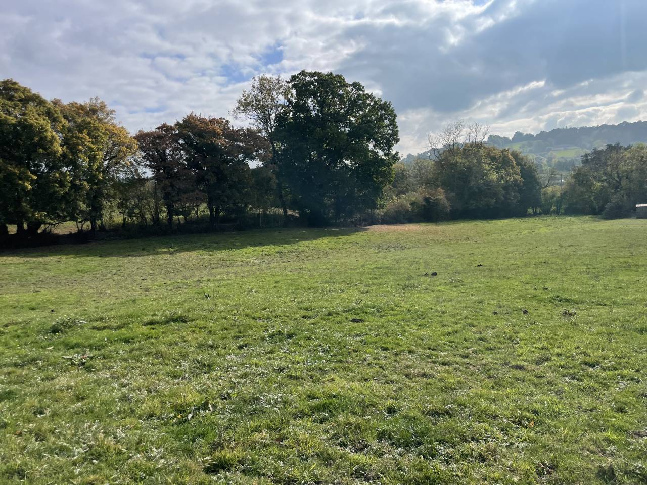 Pension retraite chevaux Calvados 10m Cabourg 