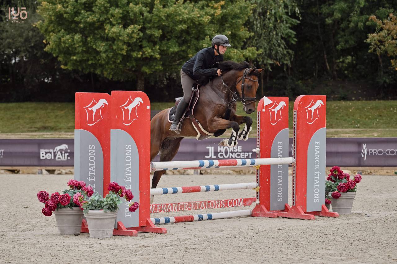 Hongre 13ans pour Amateur Elite