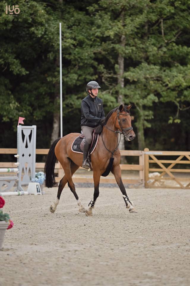 Hongre 13ans pour Amateur Elite