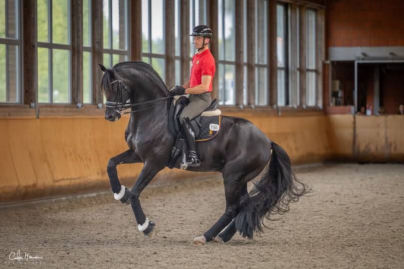 Chic poulinière pleine de Zonik Plus