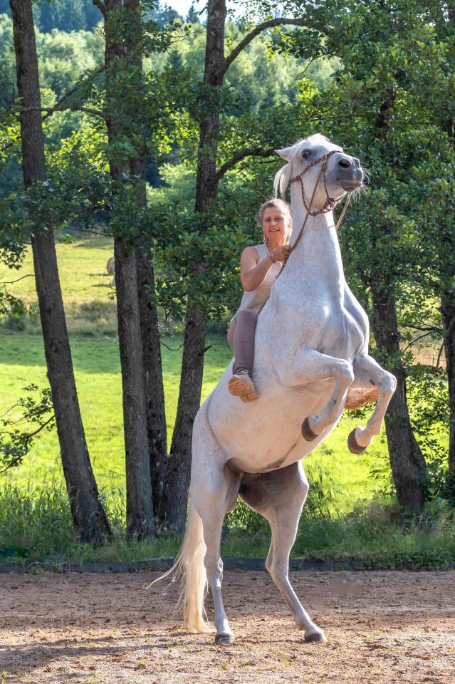 Au galop vers la liberté,  en chemin vers Soi