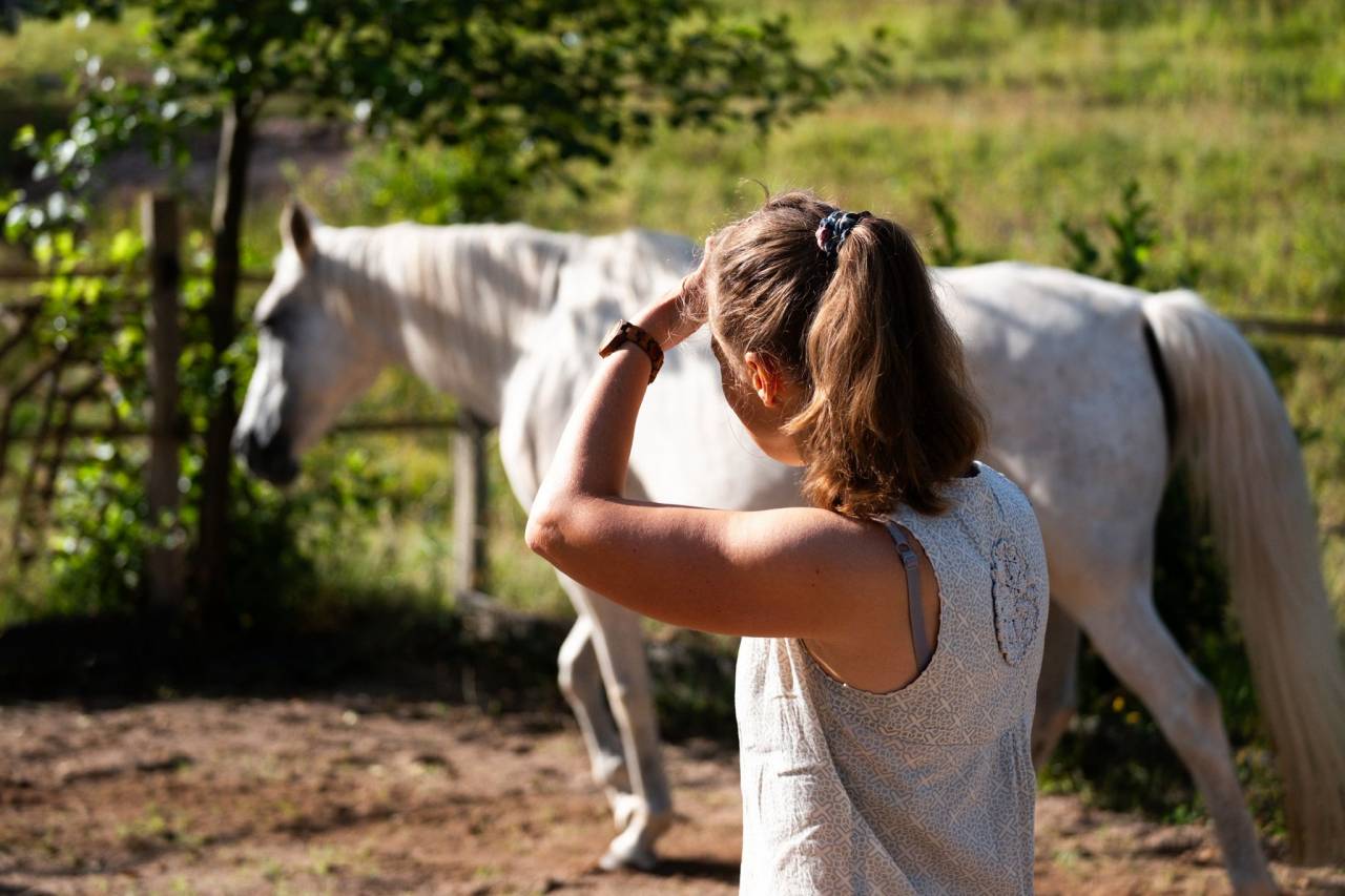 Au galop vers la liberté,  en chemin vers Soi