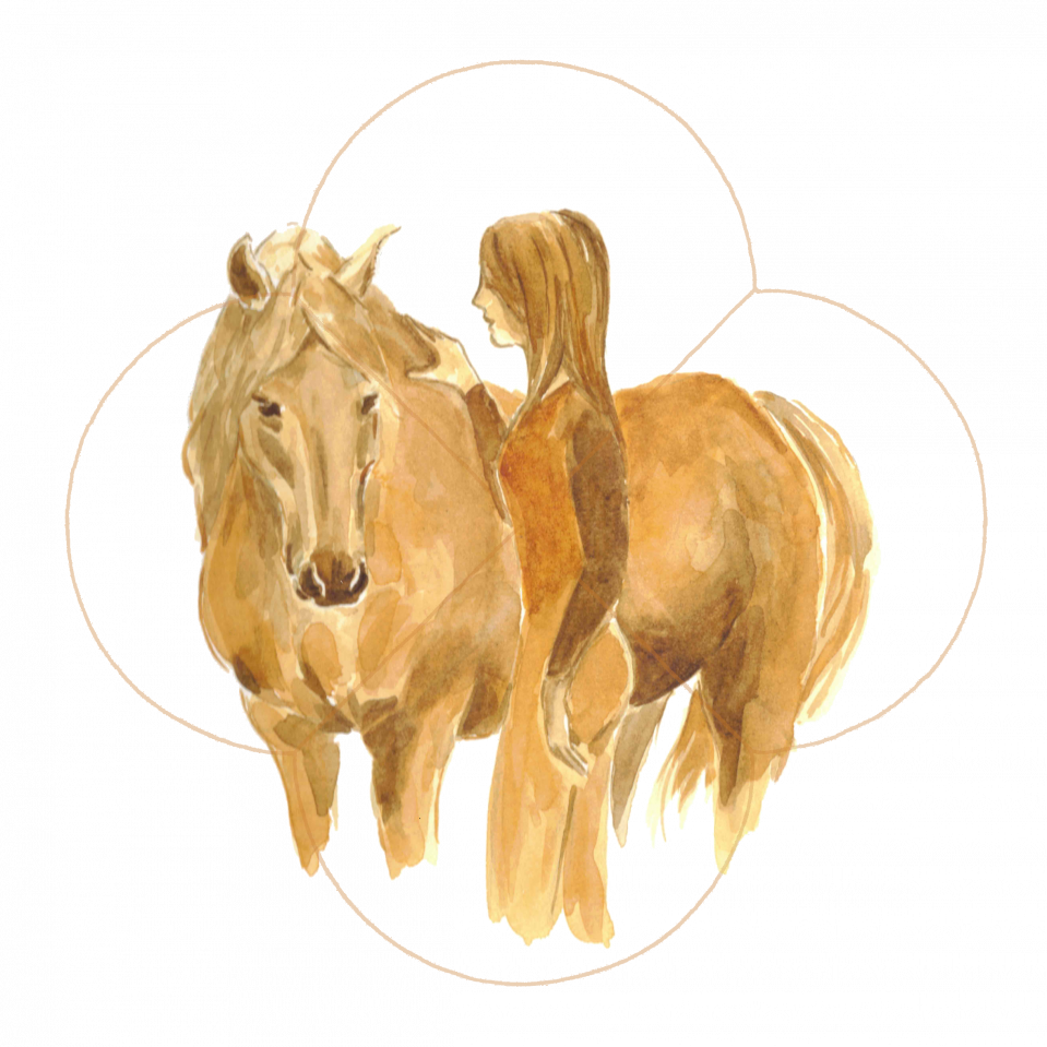 Au galop vers la liberté,  en chemin vers Soi