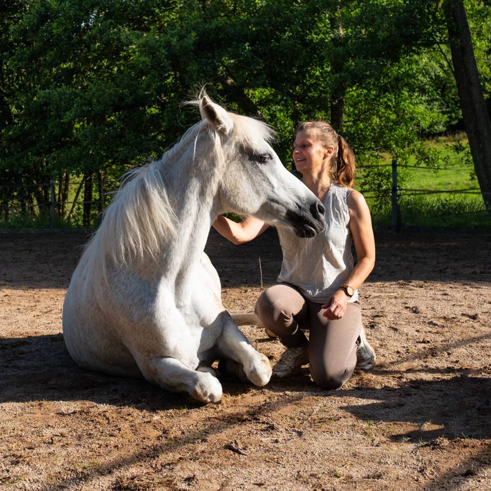 Au galop vers la liberté,  en chemin vers Soi