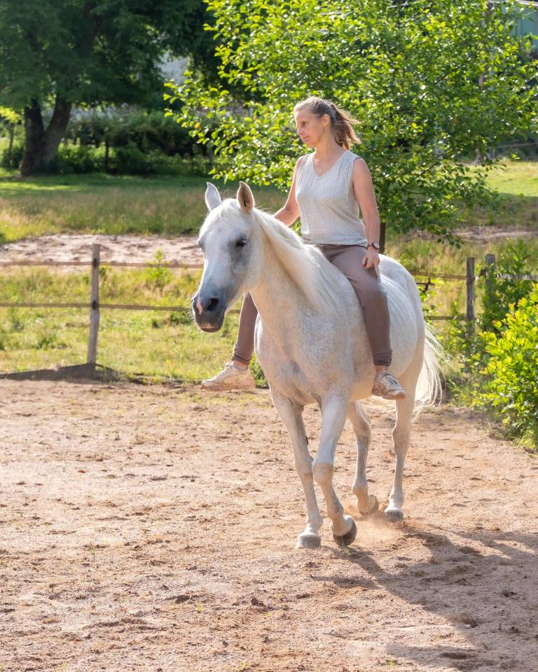 Au galop vers la liberté,  en chemin vers Soi