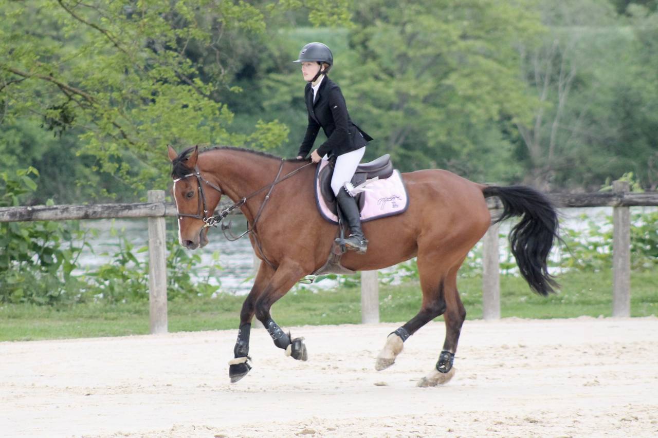 Cheval 13 ans CSO AMATEUR