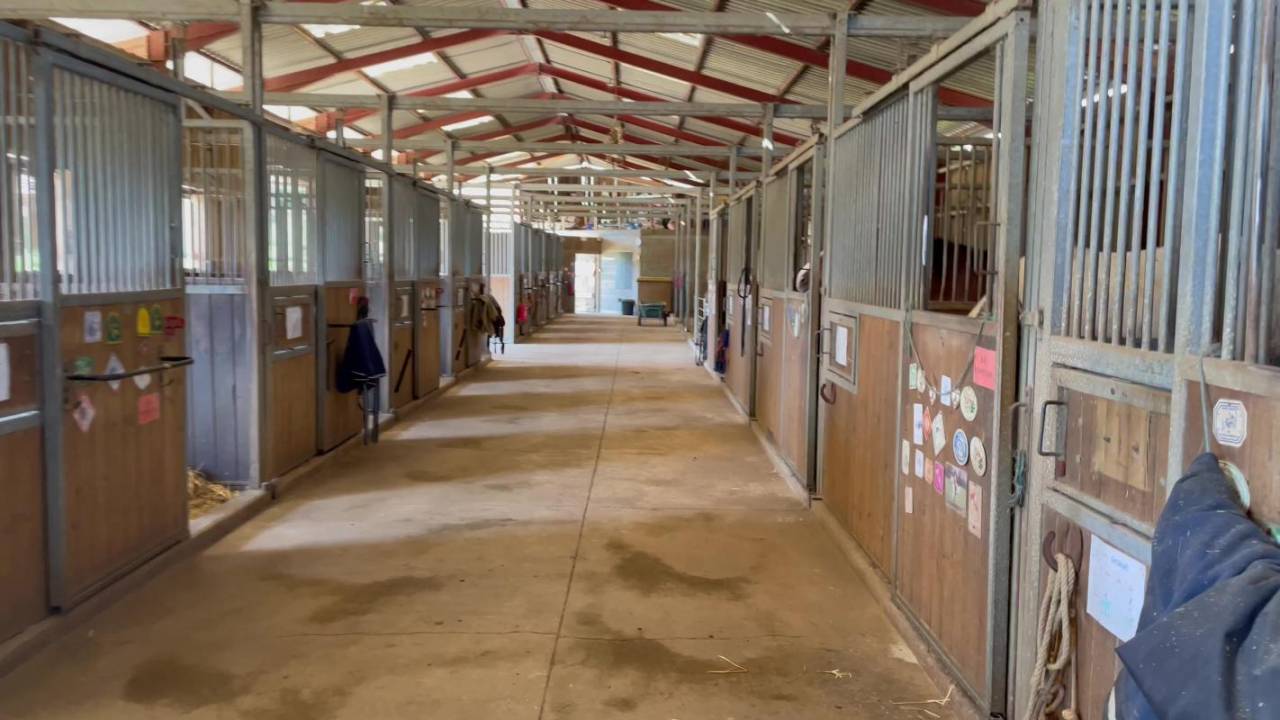 Propri&eacute;t&eacute; &eacute;questre