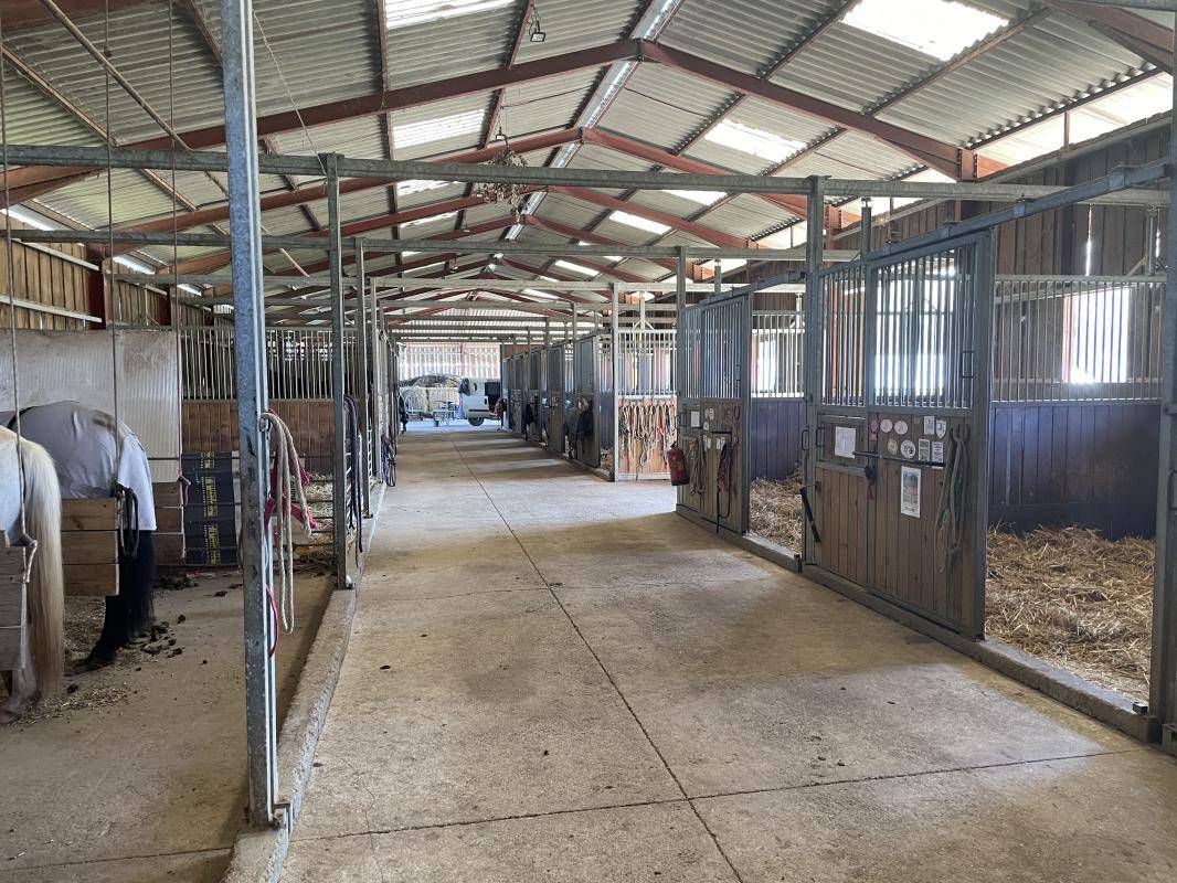 Propri&eacute;t&eacute; &eacute;questre