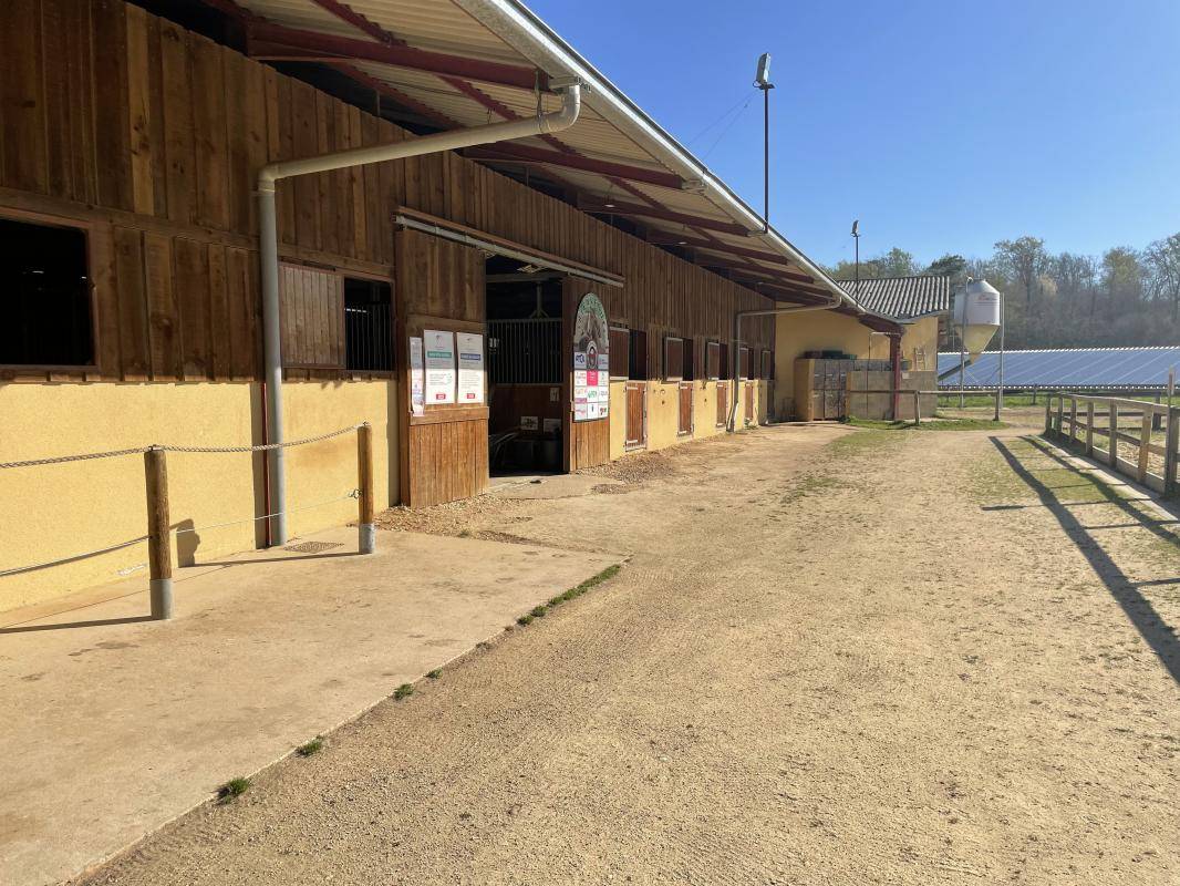 Propri&eacute;t&eacute; &eacute;questre