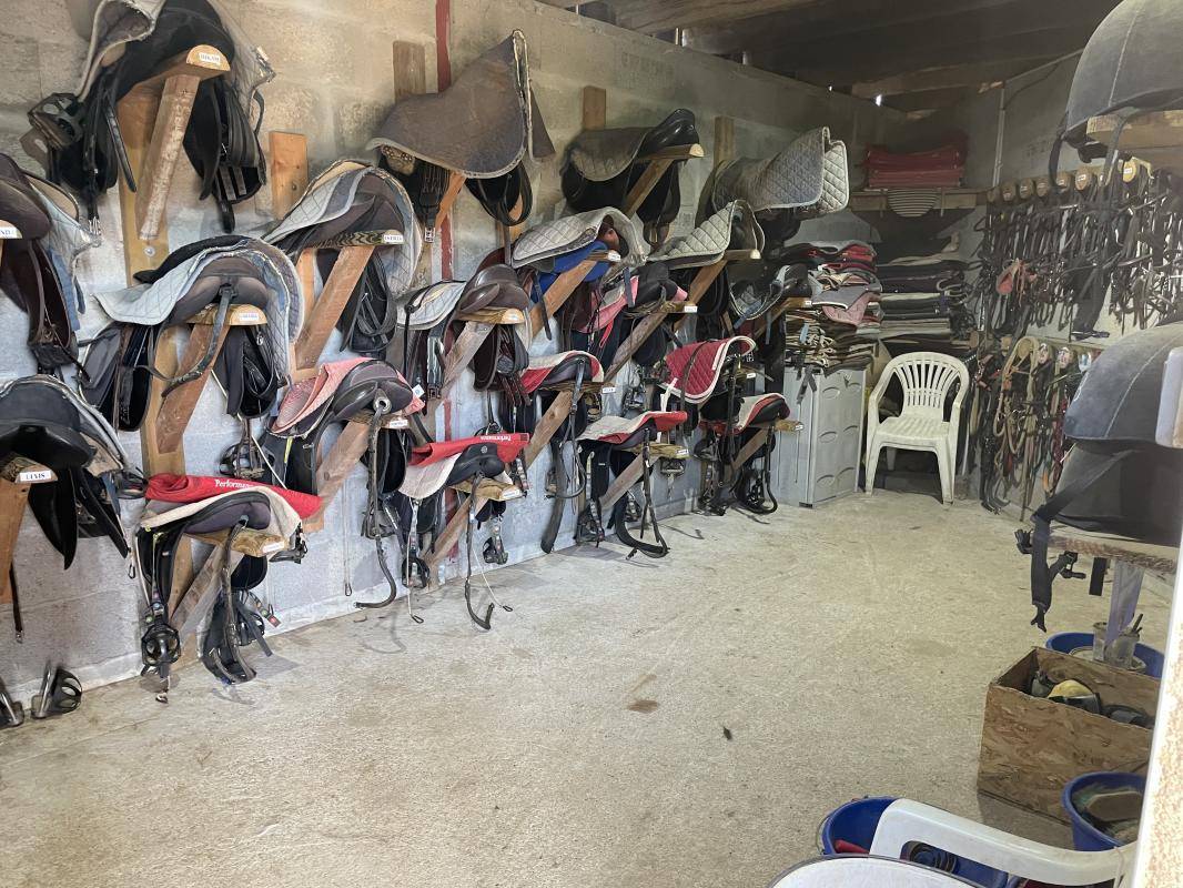 Propri&eacute;t&eacute; &eacute;questre