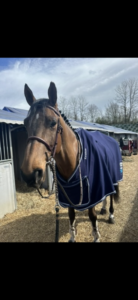 Falisse de la Parguia